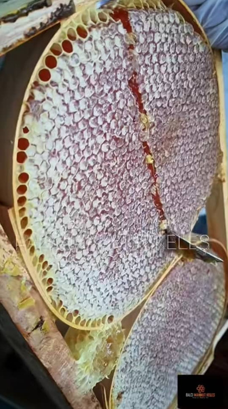 عسل موم دار گون رونا